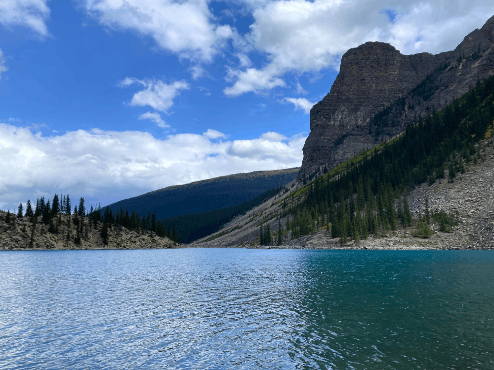 Progressive Jackpots